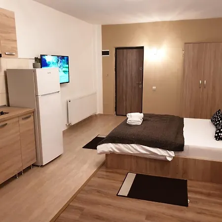 Alla Fundeni Lejlighed Bukarest