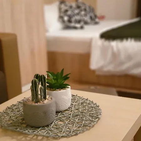 Apartament Alla Fundeni *